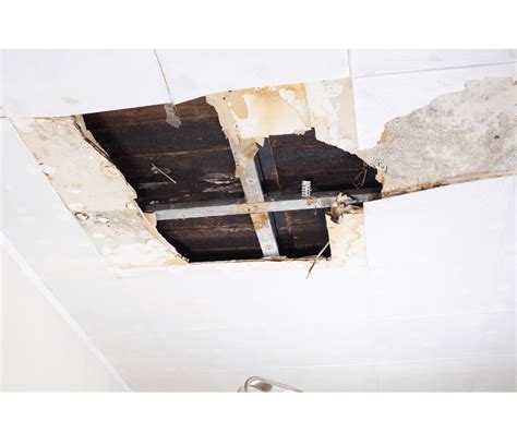 How To Determine Drywall Water Damage 